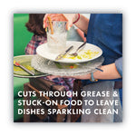 Load image into Gallery viewer, Dishwasher Detergent Power Packs, Citrus Zest, 48 Tab Pouch, 6/carton