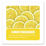 Load image into Gallery viewer, Granular Deodorant, Lemon, 16 Oz, Shaker Can, 12/carton