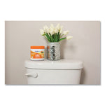 Load image into Gallery viewer, Super Odor Eliminator, Mandarin Orange And Fresh Lemon, 14 Oz Jar, 6/carton