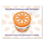 Load image into Gallery viewer, Super Odor Eliminator, Mandarin Orange And Fresh Lemon, 14 Oz Jar