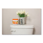 Load image into Gallery viewer, Super Odor Eliminator, Mandarin Orange And Fresh Lemon, 14 Oz Jar