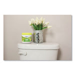 Load image into Gallery viewer, Super Odor Eliminator, Zesty Lemon And Lime, 14 Oz Jar, 6/carton