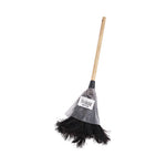 Load image into Gallery viewer, Professional Ostrich Feather Duster, 10" Handle