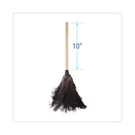 Load image into Gallery viewer, Professional Ostrich Feather Duster, 10" Handle