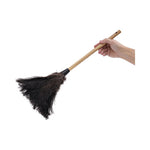 Load image into Gallery viewer, Professional Ostrich Feather Duster, 10" Handle