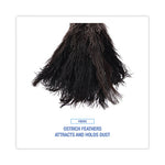 Load image into Gallery viewer, Professional Ostrich Feather Duster, 10" Handle