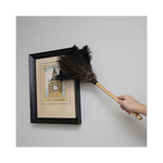 Load image into Gallery viewer, Professional Ostrich Feather Duster, 10" Handle