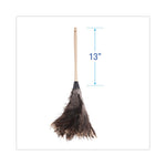 Load image into Gallery viewer, Professional Ostrich Feather Duster, 13" Handle