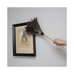 Load image into Gallery viewer, Professional Ostrich Feather Duster, 13" Handle