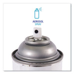 Load image into Gallery viewer, Vandalism Mark Remover, 16 Oz Aerosol Spray, 12/carton