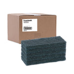 Load image into Gallery viewer, Medium-duty Scour Pad, 10 X 4.63, Blue, 20/carton