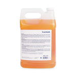 Load image into Gallery viewer, Industrial Strength Pine Cleaner, 1 Gal Bottle