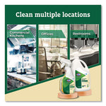 Load image into Gallery viewer, Clorox Pro Ecoclean All-purpose Cleaner, Unscented, 32 Oz Spray Bottle, 9/carton