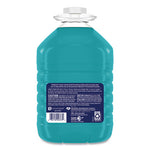 Load image into Gallery viewer, All-purpose Cleaner, Ocean Cool Scent, 1 Gal Bottle