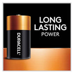 Load image into Gallery viewer, Coppertop Alkaline D Batteries, 2/pack