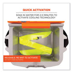 Load image into Gallery viewer, Chill-its 6700 Cooling Bandana Polymer Tie Headband, One Size Fits Most, Lime, Ships In 1-3 Business Days