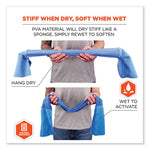 Load image into Gallery viewer, Chill-its 6604 Multipurpose Cleaning Cooling Towel, 35x8, One Size Fit Most, Microfiber/pva, Blue, Ships In 1-3 Business Days