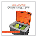 Load image into Gallery viewer, Chill-its 6665 Embedded Polymer Cooling Vest With Zipper, Nylon/polymer, Medium, Lime, Ships In 1-3 Business Days