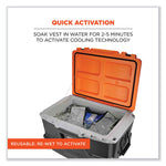 Load image into Gallery viewer, Chill-its 6665 Embedded Polymer Cooling Vest With Zipper, Nylon/polymer, Large, Gray, Ships In 1-3 Business Days