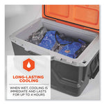 Load image into Gallery viewer, Chill-its 6667 Wet Evaporative Pva Cooling Vest With Zipper, Pva, X-large, Blue, Ships In 1-3 Business Days