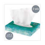 Load image into Gallery viewer, White Facial Tissue Junior Pack, 2-ply, 48 Sheets/box, 64 Boxes/carton