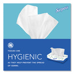 Load image into Gallery viewer, Facial Tissue For Business, 2-ply, White,125 Sheets/box, 60 Boxes/carton