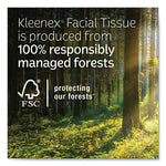 Load image into Gallery viewer, Lotion Facial Tissue, 3-ply, White, 60 Sheets/box, 27 Boxes/carton