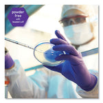 Load image into Gallery viewer, Purple Nitrile Gloves, Purple, 242 Mm Length, Small, 6 Mil, 1,000/carton
