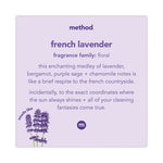 Load image into Gallery viewer, Foaming Hand Wash, French Lavender, 10 Oz Pump Bottle, 6/carton
