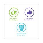 Load image into Gallery viewer, Antibac All-purpose Cleaner, Wildflower, 28 Oz Spray Bottle