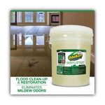 Load image into Gallery viewer, Concentrated Odor Eliminator And Disinfectant, Eucalyptus, 5 Gal Pail