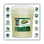 Load image into Gallery viewer, Concentrated Odor Eliminator And Disinfectant, Eucalyptus, 5 Gal Pail