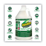 Load image into Gallery viewer, Concentrated Odor Eliminator And Disinfectant, Eucalyptus, 1 Gal Bottle
