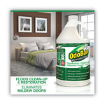 Load image into Gallery viewer, Concentrated Odor Eliminator And Disinfectant, Eucalyptus, 1 Gal Bottle