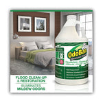 Load image into Gallery viewer, Concentrated Odor Eliminator, Eucalyptus, 1 Gal Bottle, 4/carton