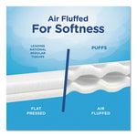 Load image into Gallery viewer, White Facial Tissue, 2-ply, 180 Sheets/box