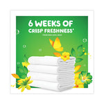 Load image into Gallery viewer, Flings Detergent Pods, Orginal, 81 Pods/tub