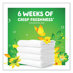 Load image into Gallery viewer, Flings Detergent Pods, Moonlight Breeze, 81 Pods/pack