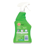 Load image into Gallery viewer, Stain Remover, 22 Oz Spray Bottle