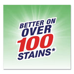 Load image into Gallery viewer, Stain Remover, 22 Oz Spray Bottle