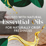 Load image into Gallery viewer, Scented Oil Warmer, 1.75" X 2.69" X 3.63", White/gray, 6/carton