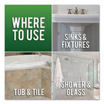 Load image into Gallery viewer, Lime, Calcium And Rust Remover, 28 Oz Bottle