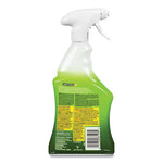 Load image into Gallery viewer, Lime, Calcium And Rust Remover, 22 Oz Spray Bottle