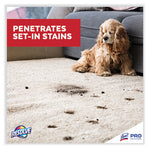 Load image into Gallery viewer, Spot And Stain Carpet Cleaner, 32 Oz Spray Bottle