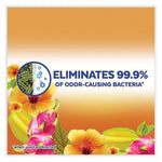 Load image into Gallery viewer, 2 In 1 Disinfectant Spray Iii, Tropical Breeze, 10 Oz Aerosol Spray, 6/carton