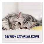 Load image into Gallery viewer, Urine Destroyer, Citrus, 32 Oz Spray Bottle, 6/carton