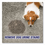 Load image into Gallery viewer, Urine Destroyer, Citrus, 32 Oz Spray Bottle, 6/carton