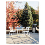 Load image into Gallery viewer, Evos Series Steel Waste Container, 38 Gal, Steel, Black