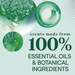 Load image into Gallery viewer, Toilet Bowl Cleaner, Fresh Mint Scent, 24 Oz Bottle, 4/carton