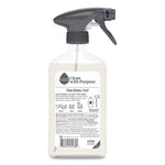 Load image into Gallery viewer, Foaming Dish Spray, Mandarin Orange Scent, 16 Oz Bottle, 6/carton